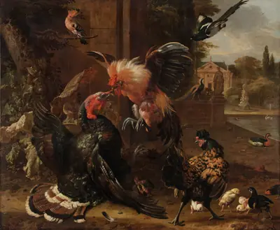 A Rooster and Turkey Fighting