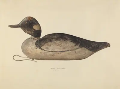 Duck Decoy
