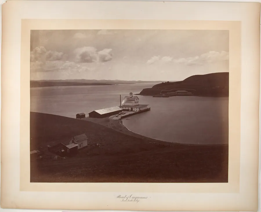Strait of Carquennes, from South Vallejo by Carleton E. Watkins