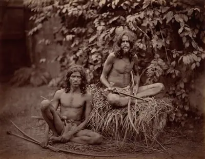 Veddas