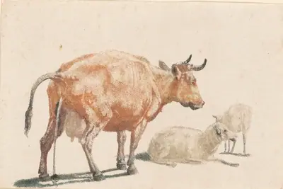 Pissing Cow and Two Sheep