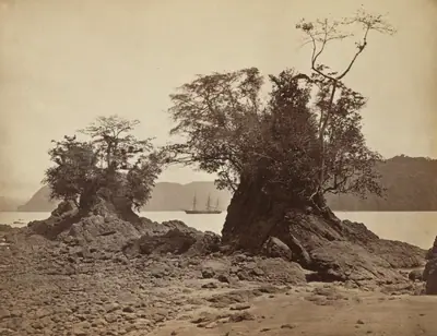 Islands in Limón Bay