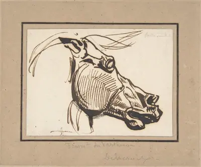 Head of a Horse, after the Parthenon