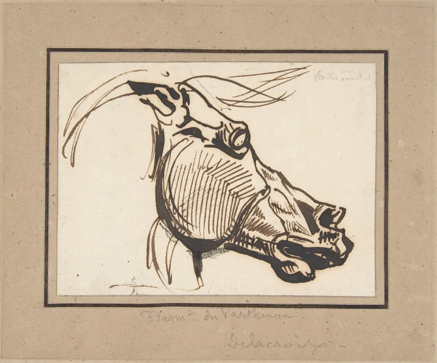 Head of a Horse, after the Parthenon by Eugène Delacroix