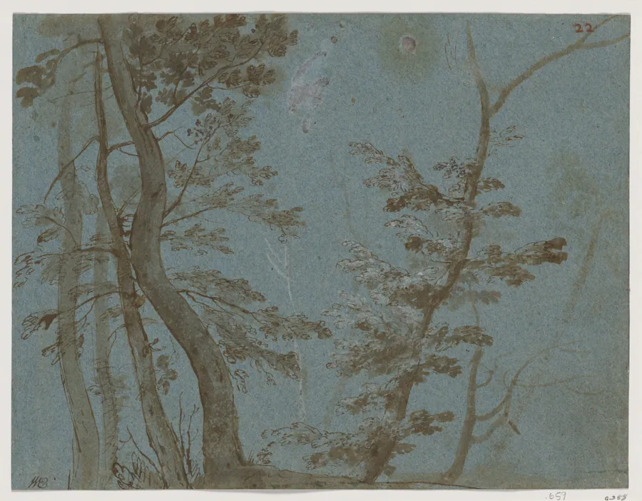 Trees by Claude Lorrain (Claude Gellée)