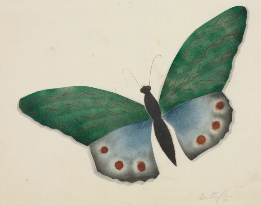 Butterfly by Mary Altha Nims