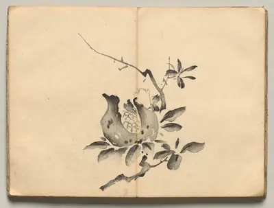 Pomegranate from Ōkyo Picture Book