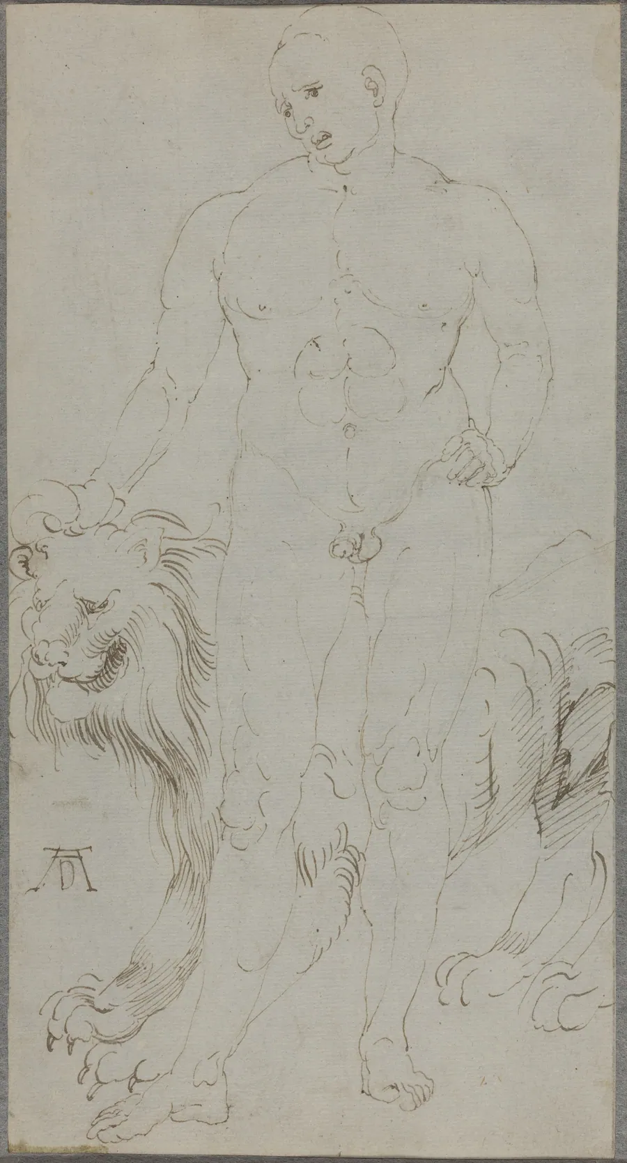 Male Nude with a Lion [verso] by Albrecht Dürer